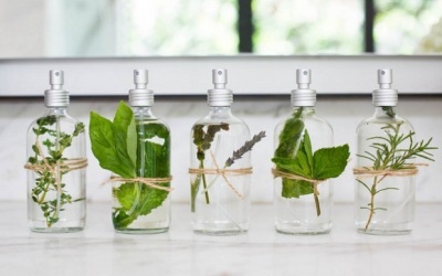 Xu hướng mới: Sử dụng tinh dầu thay thế thuốc kháng sinh