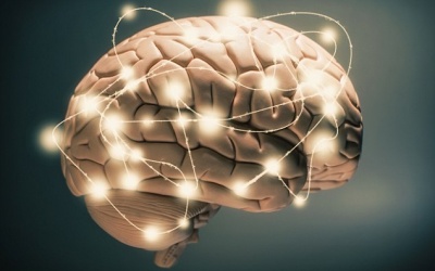 Phát hiện ra gene chủ đạo ngăn chặn tình trạng làm chết các tế bào não