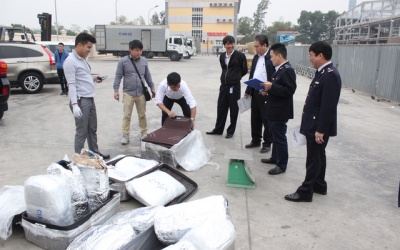 Tạm giữ lô hàng nghi ngờ chứa lá Khát để sản xuất ma túy đá
