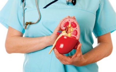 Dùng TPCN Ích Thận Vương có phòng ngừa được suy thận không?