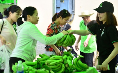 Kháng tinh bột chuối - Thực phẩm chức năng mới?