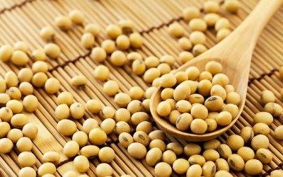 Đọc để biết có nên tin đậu nành gây ung thư vú hay không?