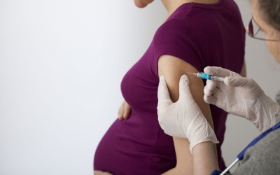 Nên tiêm vaccine ho gà nếu đang mang thai