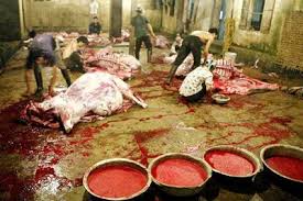 Mơ ước thịt sạch đến tay người dân đâu khó thế!?