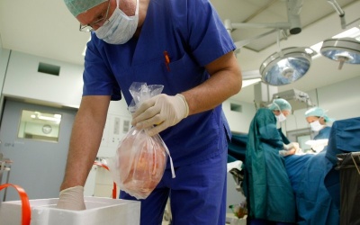 Đột phá trong bảo quản nội tạng chờ cấy ghép