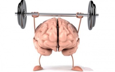 10 loại gia vị và thảo mộc tốt cho não