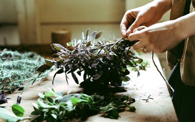 Ngoài sữa, trứng, đây là 5 thảo dược giúp xương chắc khỏe