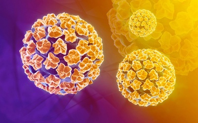 Virus HPV khi nào thì gây hại?