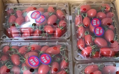 Cà chua bi nửa triệu dùng để sốt bìa đậu phụ 10.000 đồng