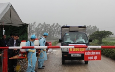 Hà Nội đã sẵn sàng ứng phó khi có dịch cúm A(H7N9)