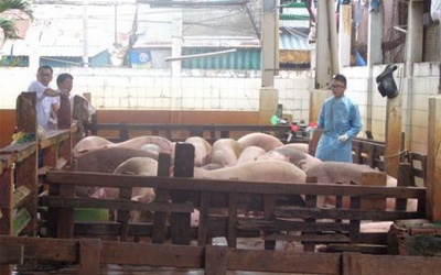 Khi có kết quả xét nghiệm, thức ăn độc hại đã vào bụng