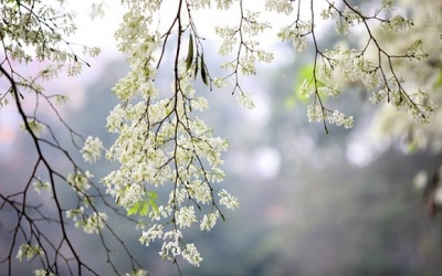 Thời tiết nồm ẩm sẽ kéo dài đến tháng 4