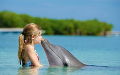 Tử vi 12 cung hoàng đạo thứ hai (20/3/2017)