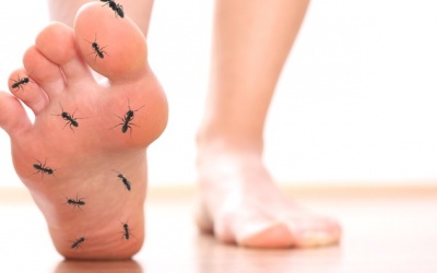 5 lý do khiến bạn có cảm giác ngứa ran ở bàn tay và bàn chân