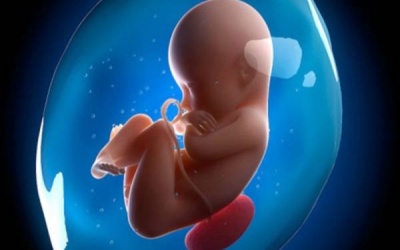 Làm sao để phát hiện một cách chính xác việc mang thai?