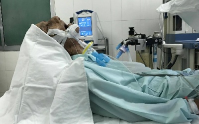 Khối polyp mũi khiến cụ ông ngủ ngồi suốt 40 năm