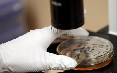 Chữa rối loạn cương bằng... tế bào gốc