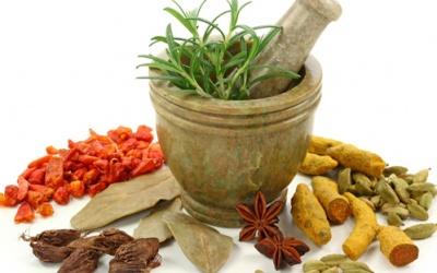 Dược liệu Việt: Quan tâm đến “đầu tiên” hay “đầu ra”?