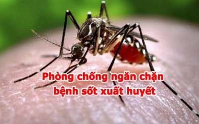 TPHCM: Gần 5.000 ca sốt xuất huyết phải nhập viện sau 3 tháng