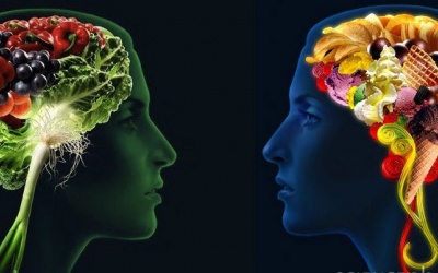 9 'nhiên liệu' giúp não nhanh nhạy và tập trung