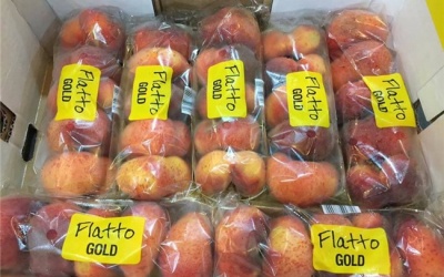 Đào lạ hình bánh rán - món ăn vặt 'sang chảnh' của chị em công sở