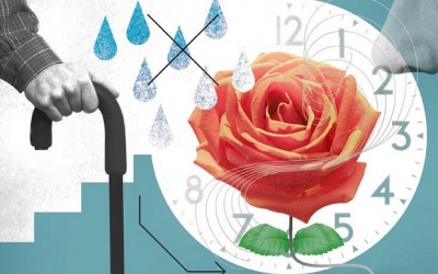 Bạn có thể chết vì bệnh Parkinson?