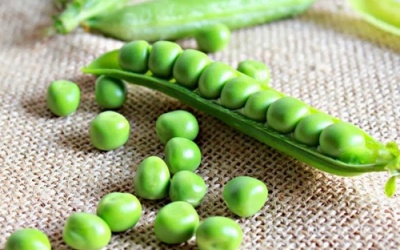 Ăn nhiều cây họ đậu - Giảm nỗi lo mắc bệnh đái tháo đường
