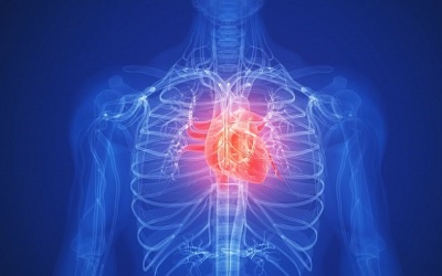 Bài kiểm tra online dự đoán nguy cơ bệnh tim mạch, đái tháo đường