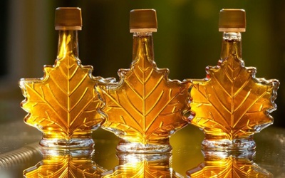 Chiết xuất từ ​​siro cây phong - niềm hy vọng mới trong cuộc chiến chống siêu vi khuẩn