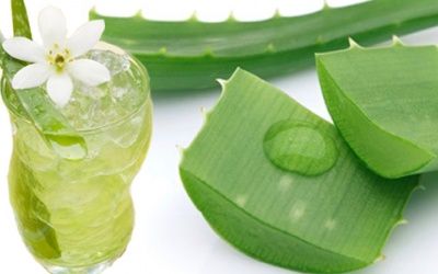 Những cách chữa vảy nến bằng nha đam hiệu quả