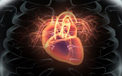 NASA gợi ý kết hợp 5 xét nghiệm để dự đoán nguy cơ bệnh tim mạch