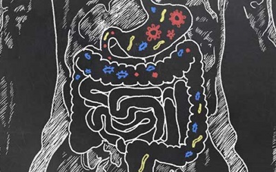 Làm rõ mối liên hệ giữa bệnh Parkinson và hệ vi khuẩn đường ruột
