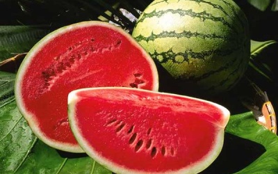 8 lý do tuyệt vời khiến bạn phải ăn dưa hấu mùa hè này