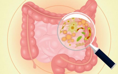 Kháng sinh có thể làm tăng nguy cơ ung thư ruột ở phụ nữ