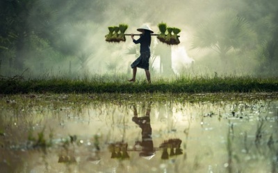 7 trải nghiệm độc đáo nên thử một lần ở Việt Nam