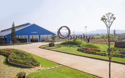 Chuyện chưa kể về hành trình ra mắt sữa tươi organic trên đất Việt