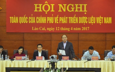 Thủ tướng: Y học cổ truyền là một kho báu