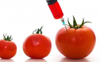 Ưu nhược điểm của thực phẩm GMO từ góc độ ăn chay