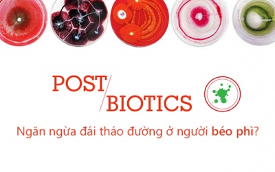 Postbiotics bảo vệ người béo phì khỏi đái tháo đường