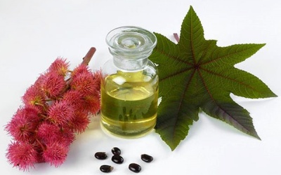 7 lợi ích tuyệt vời của dầu thầu dầu với mắt