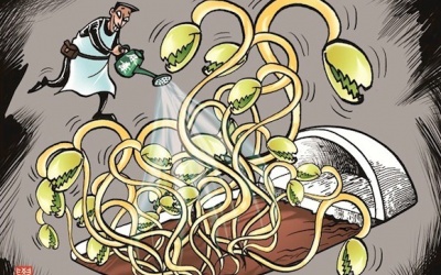 Ung thư và thực phẩm bẩn: Không chỉ là mối lo đơn thuần