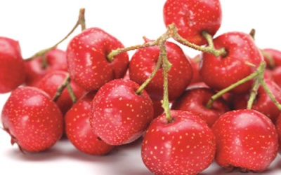 7 thảo mộc và chất bổ sung tốt nhất cho người bị xơ vữa động mạch