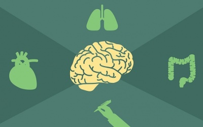 Làm thế nào để nhận biết sớm các dấu hiệu bệnh Parkinson?