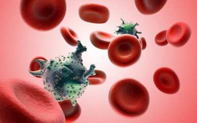 Từ 1/5: Thêm hy vọng cho người bị ung thư máu