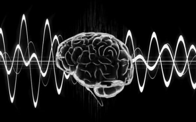 Tái tạo thành công dao động não ở người bệnh Parkinson