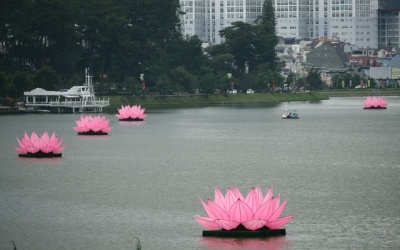 Mãn nhãn với 7 đài sen khổng lồ trên hồ Xuân Hương