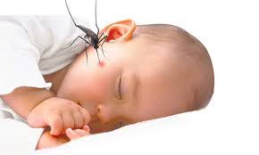 Nguy cơ bùng phát dịch sốt xuất huyết