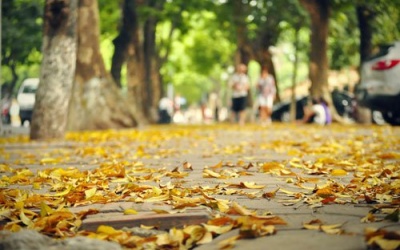 Bắc Bộ giảm nhiệt do không khí lạnh tăng cường.