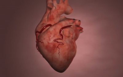 Thuốc giảm đau, chống viêm làm tăng nguy cơ đau tim