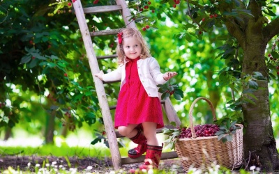 Tử vi 12 cung hoàng đạo thứ hai (15/5/2017)